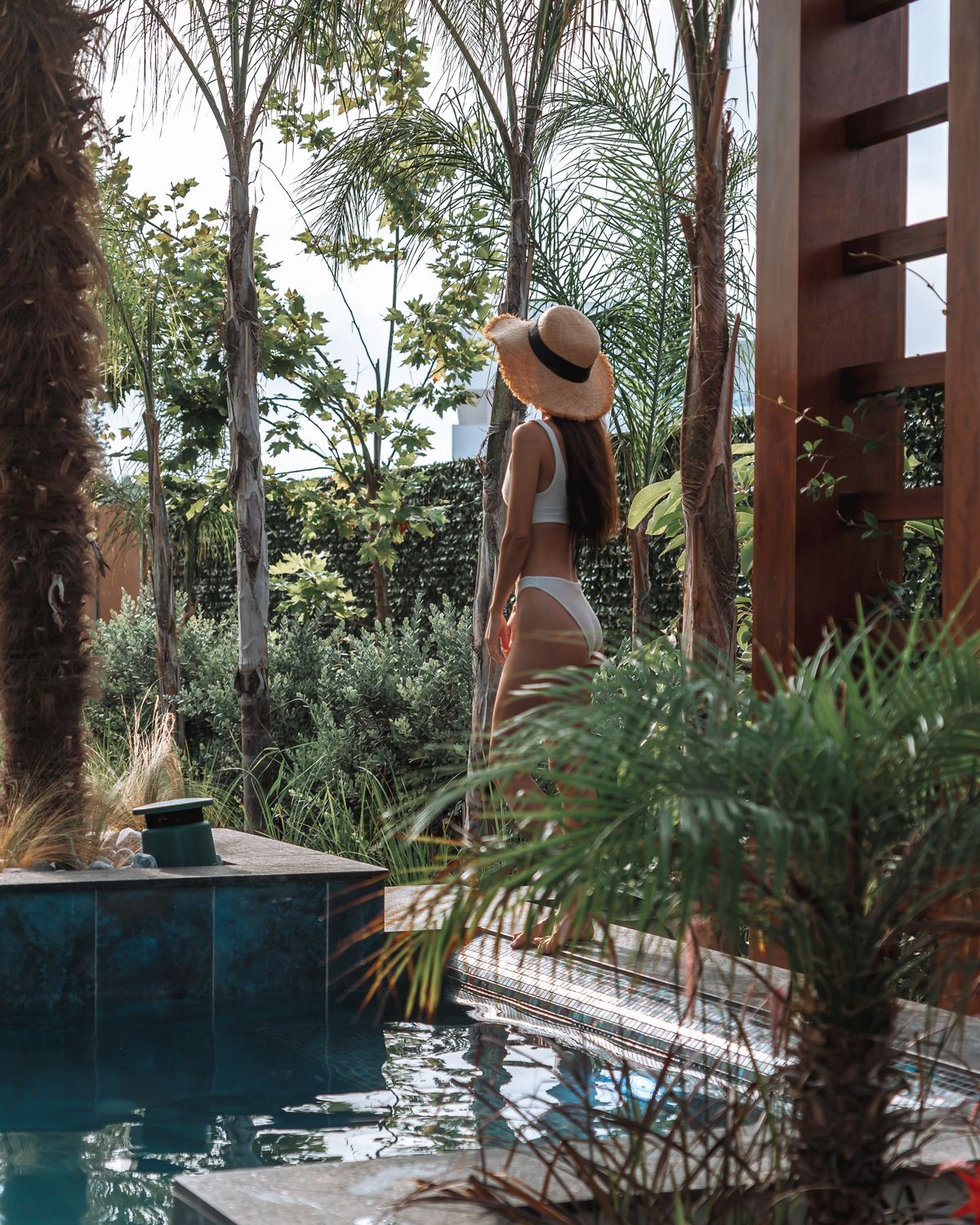 Private plunge pool in the jungle