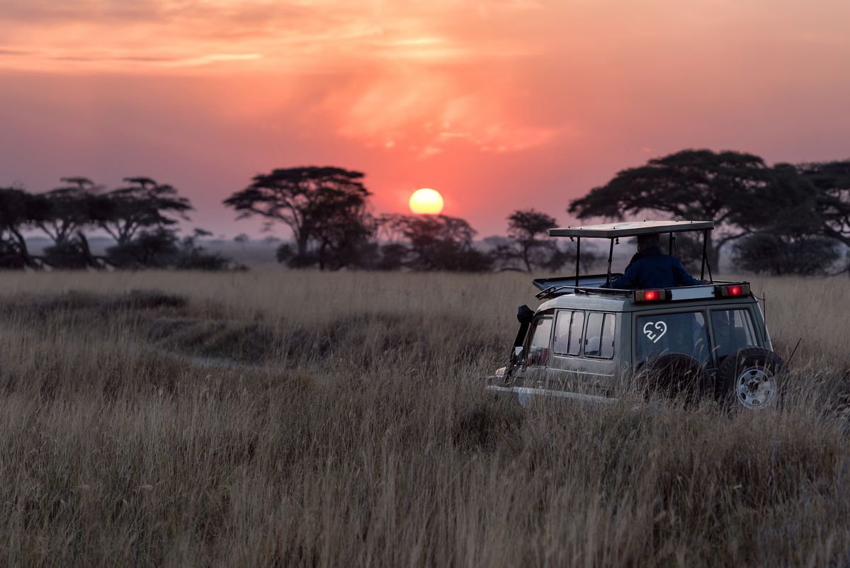 Safari jeep on the savanna at sunset